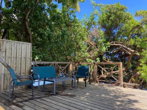 Maison confortable avec jardin au Robert, 40 m², climatisation